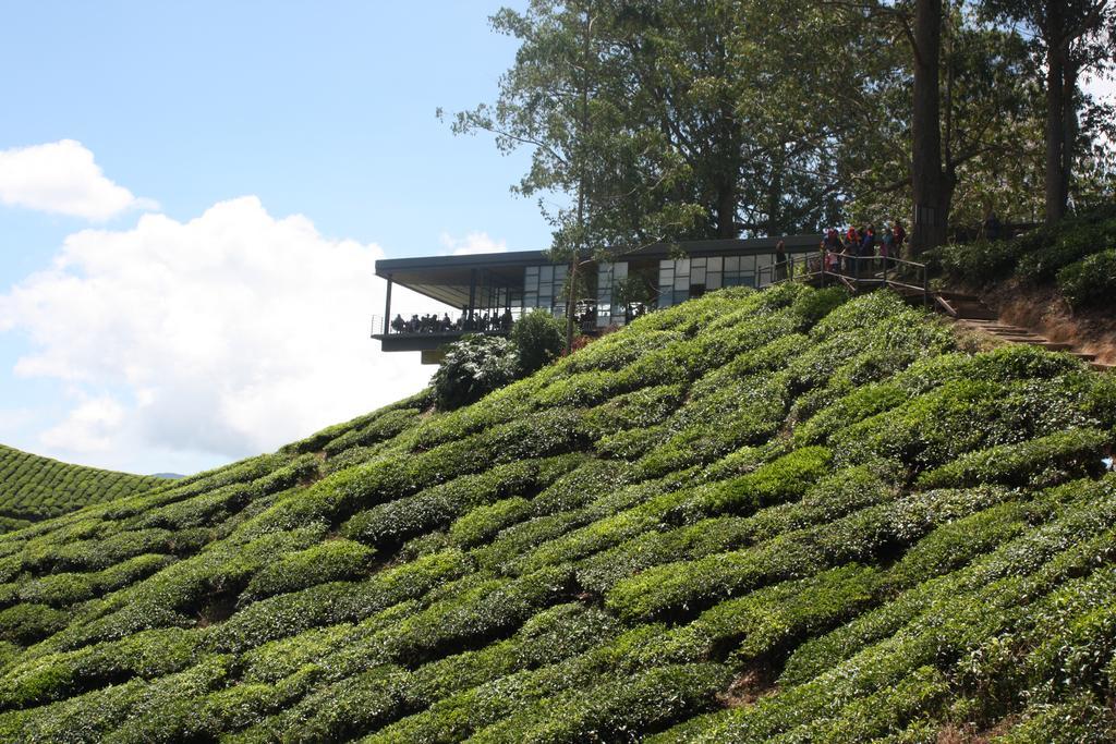 Cameron Strawberry Residence Cameron Highlands Exterior foto